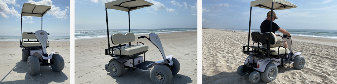 beach-buggeez-cricket-custom-golf-cart | Cricket Mini Golf Carts beach-buggeez-cricket-custom-golf-cart