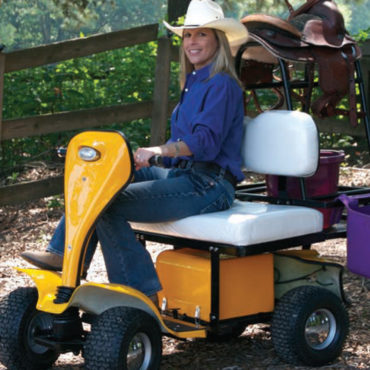 ESV Cricket Golf Cart Owner