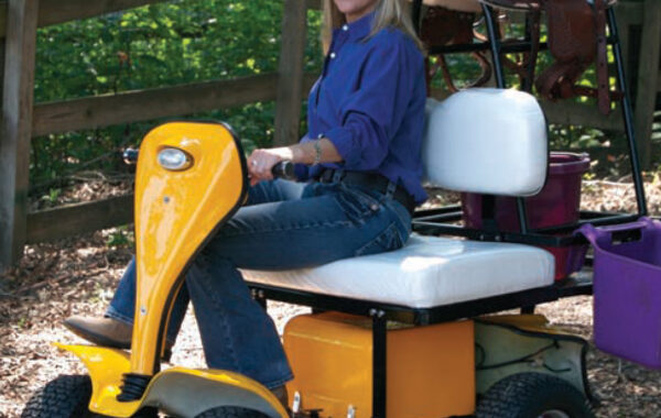 ESV Cricket Golf Cart Owner