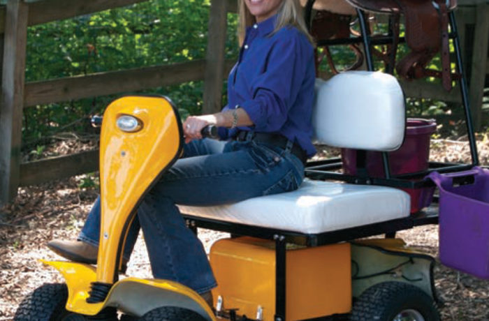 ESV Cricket Golf Cart Owner