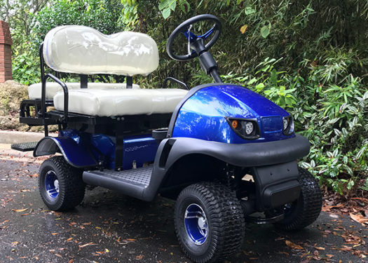 blue-rx5-cricket-cart blue-rx5-cricket-cart