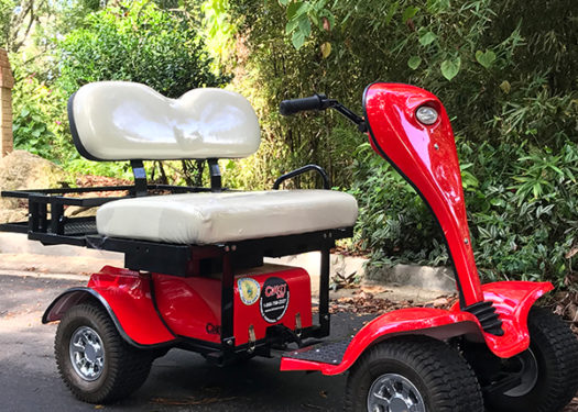 red-cricket-esv-golf-cart red-cricket-esv-golf-cart