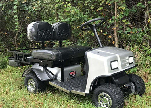 silver-sx3-cricket-golf-cart silver-sx3-cricket-golf-cart