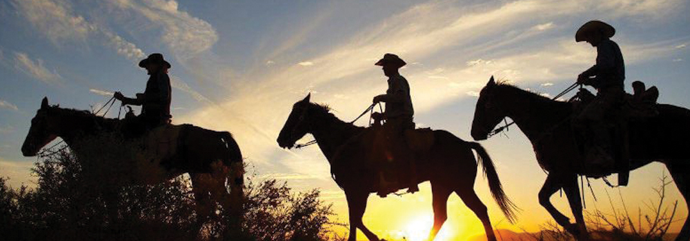 arizona-cricket-mini-golf-carts-equestrian-arenas-camping-horses | Cricket Mini Golf Carts arizona-cricket-mini-golf-carts-equestrian-arenas-camping-horses